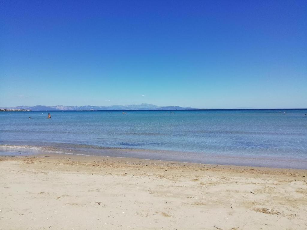 Artemis Bay Apartments Near Sea And Airport Esterno foto